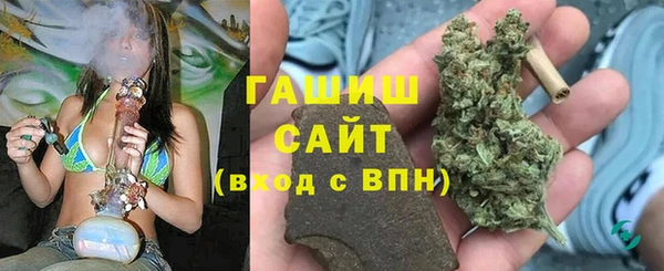 прущие грибы Бронницы